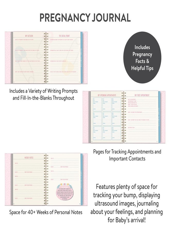 Studio Oh! Guided Pregnancy Journal - Bump for Joy - Beautifully Illustrated Hardcover Journal with Storage Pockets Creates a Keepsake of Maternity Memories, Pink - Image 3